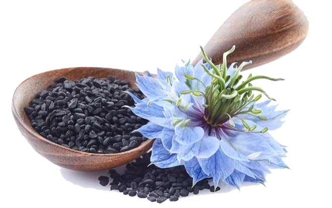 Равғани тухми сиёҳдона