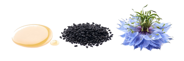 Равғани тухми сиёҳдона